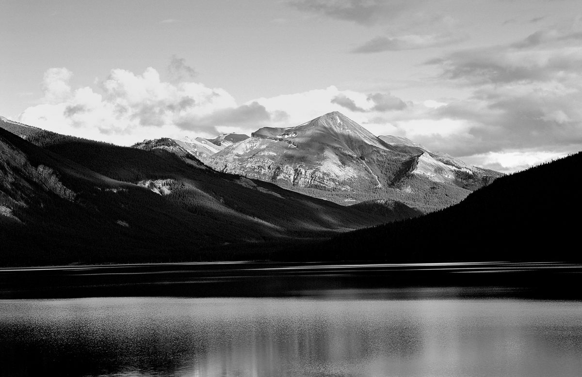 Passion for total return